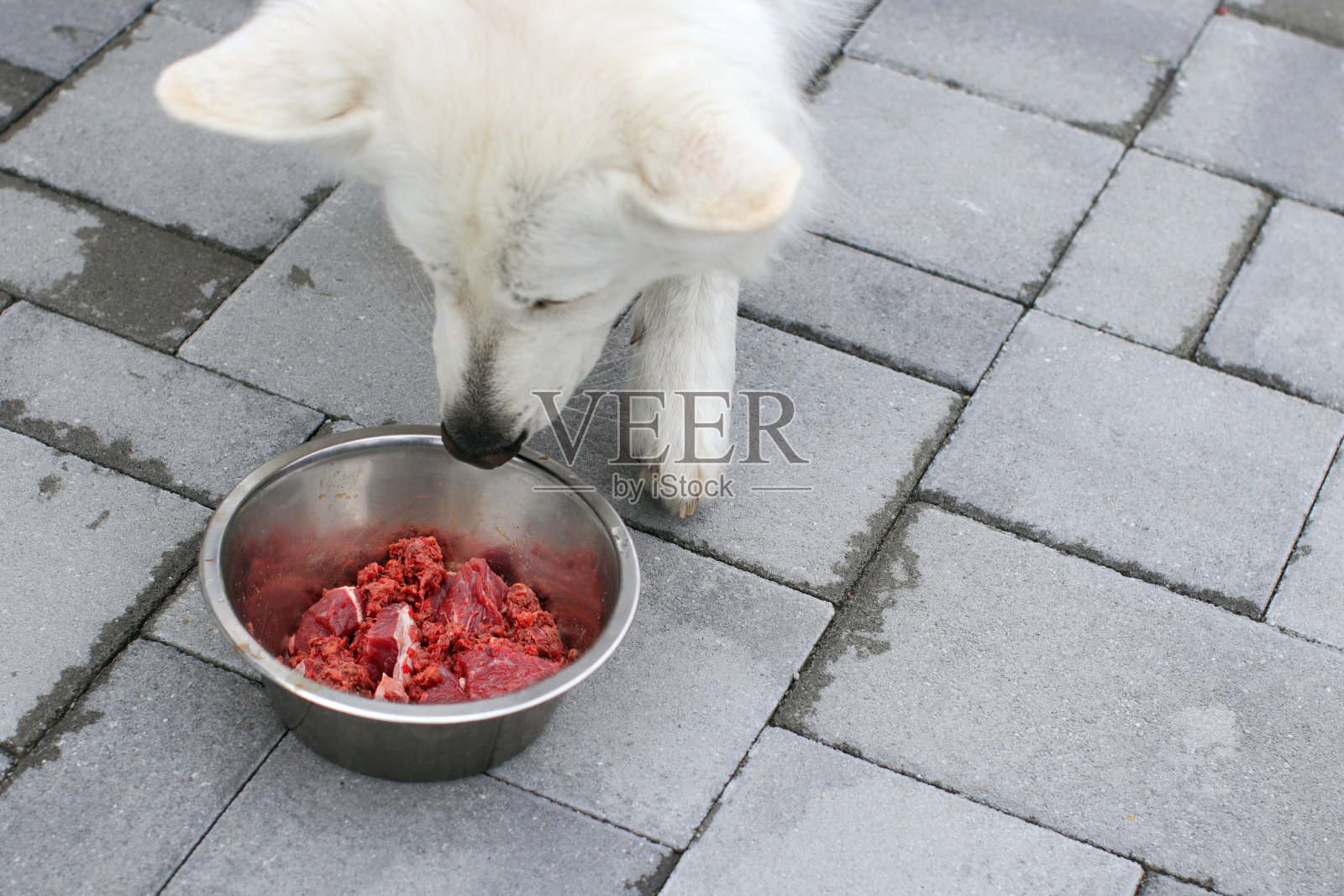 狗肉生肉照片摄影图片
