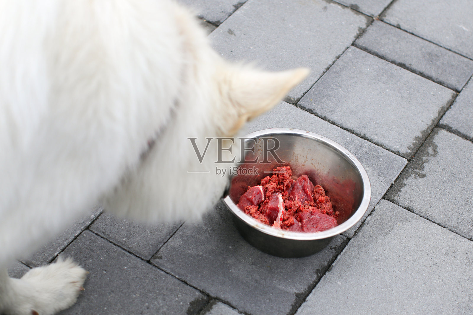 狗肉生肉照片摄影图片