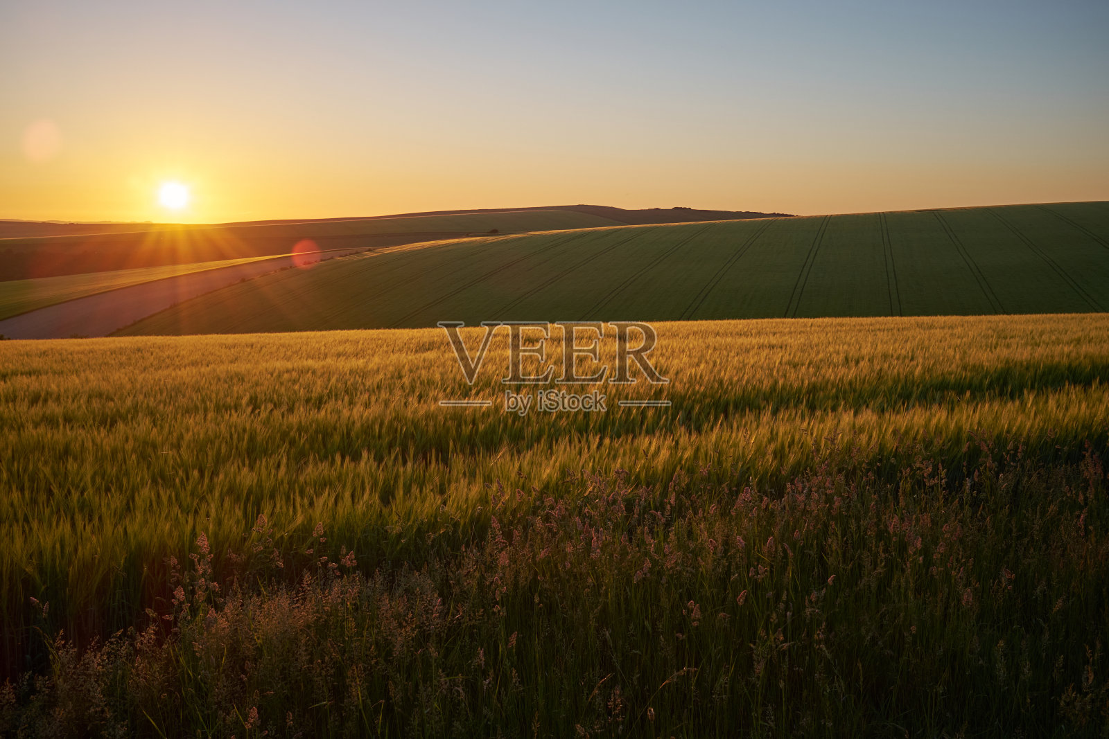 太阳正在东苏塞克斯的农田上落下照片摄影图片