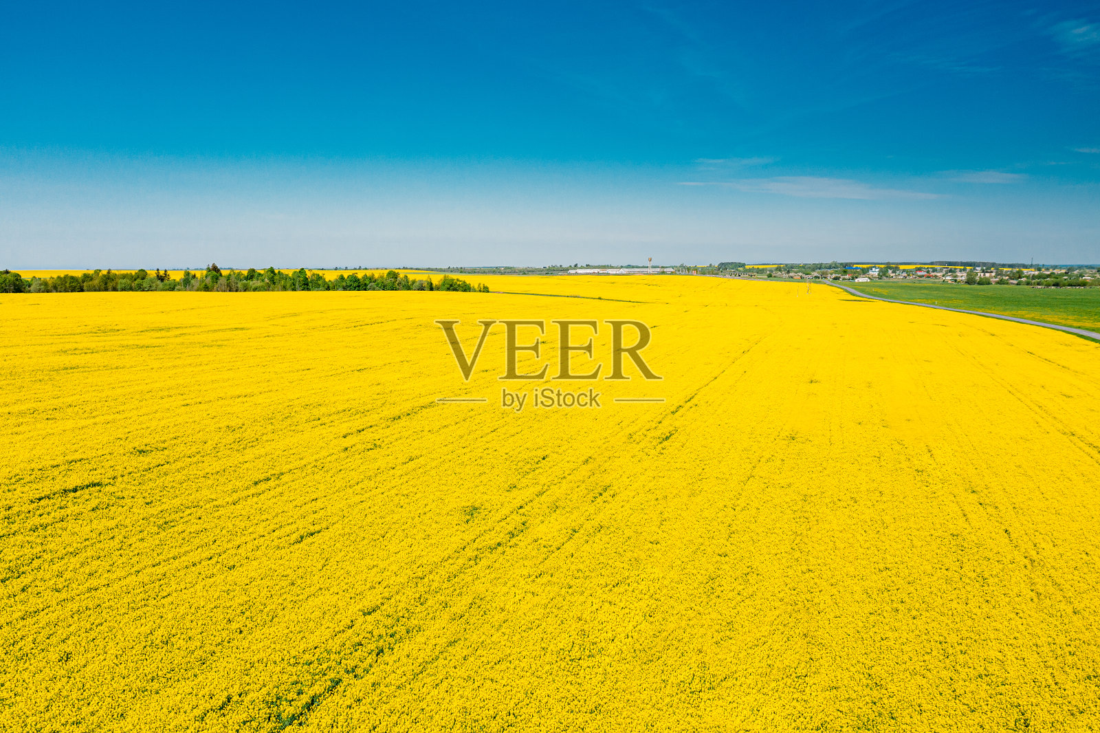 春季大田草甸油菜籽、油籽开花的农业景观鸟瞰图。油菜花的黄色花朵。鸟瞰美丽的乡村景观照片摄影图片