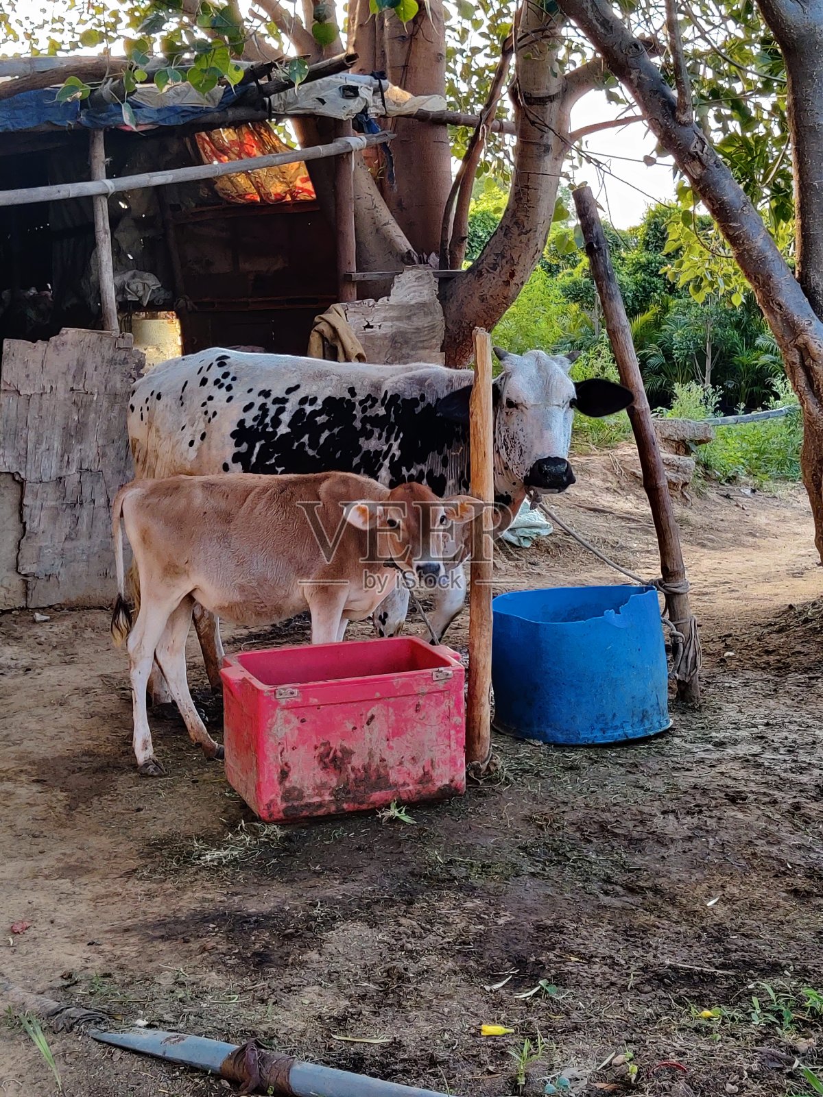 一张美丽的母亲和女儿的照片照片摄影图片