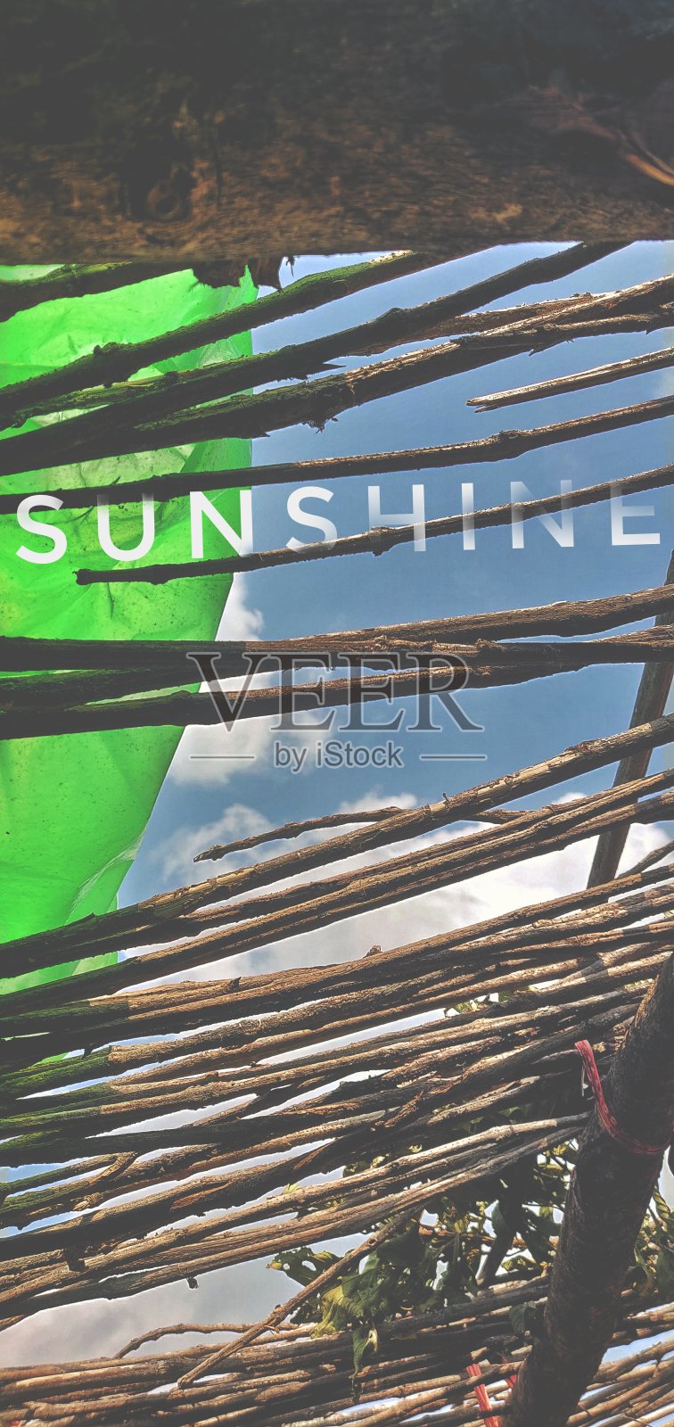 阳光照片摄影图片