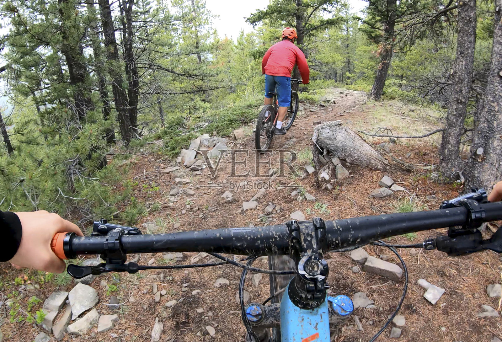 第一人称视角的山地自行车在森林小径照片摄影图片