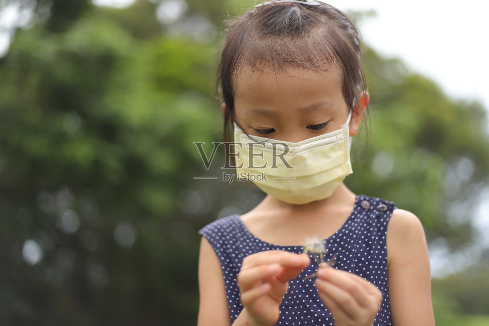 在乡间小路上捕捉昆虫和采摘鲜花的亚洲女孩照片摄影图片