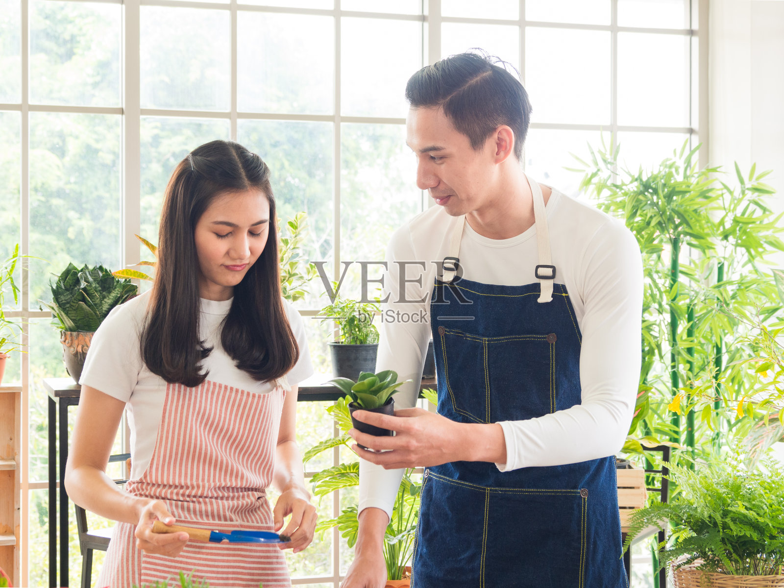 肖像的爱照片摄影图片