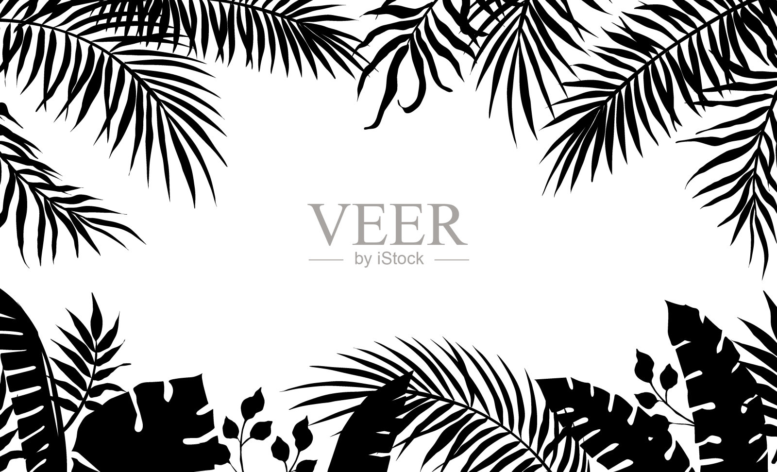 棕榈叶框架。香蕉树叶子的黑色剪影。外来植物边界。雨林绿色植物。热带分支。装饰轮廓花框架与复制空间。向量丛林插画图片素材