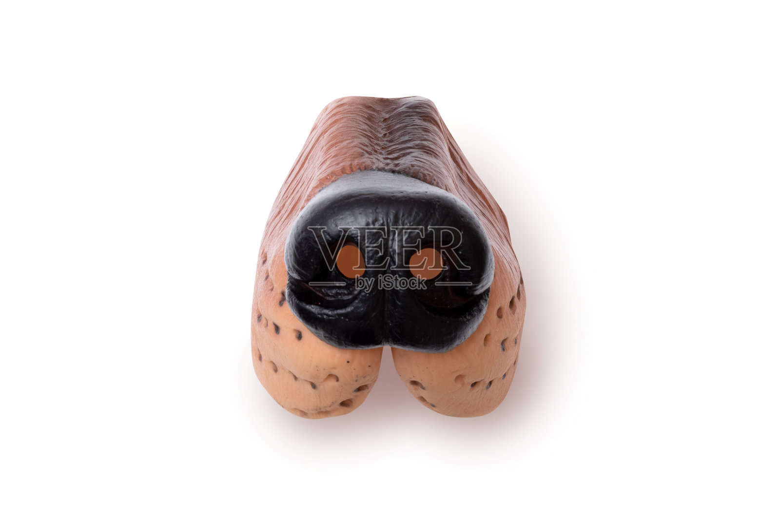 橡胶的狗的鼻子照片摄影图片