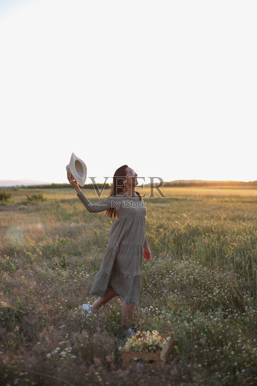 女人在麦田在日落股票照片照片摄影图片