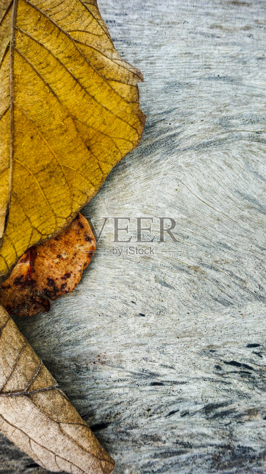 木头的背景照片摄影图片