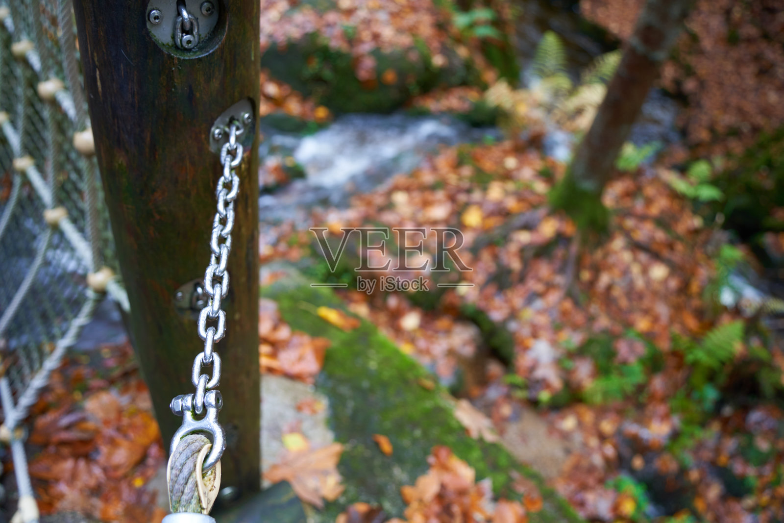 锚链固定吊桥(Hängebrücke)森林中，河水在下面流淌，绿树成荫。德国,blackforest gertelbach。照片摄影图片