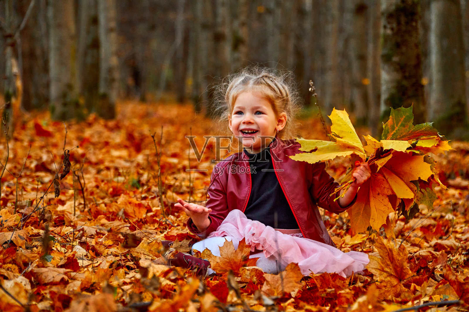 金色森林里快乐的孩子。树上的黄叶。束的叶子。照片摄影图片