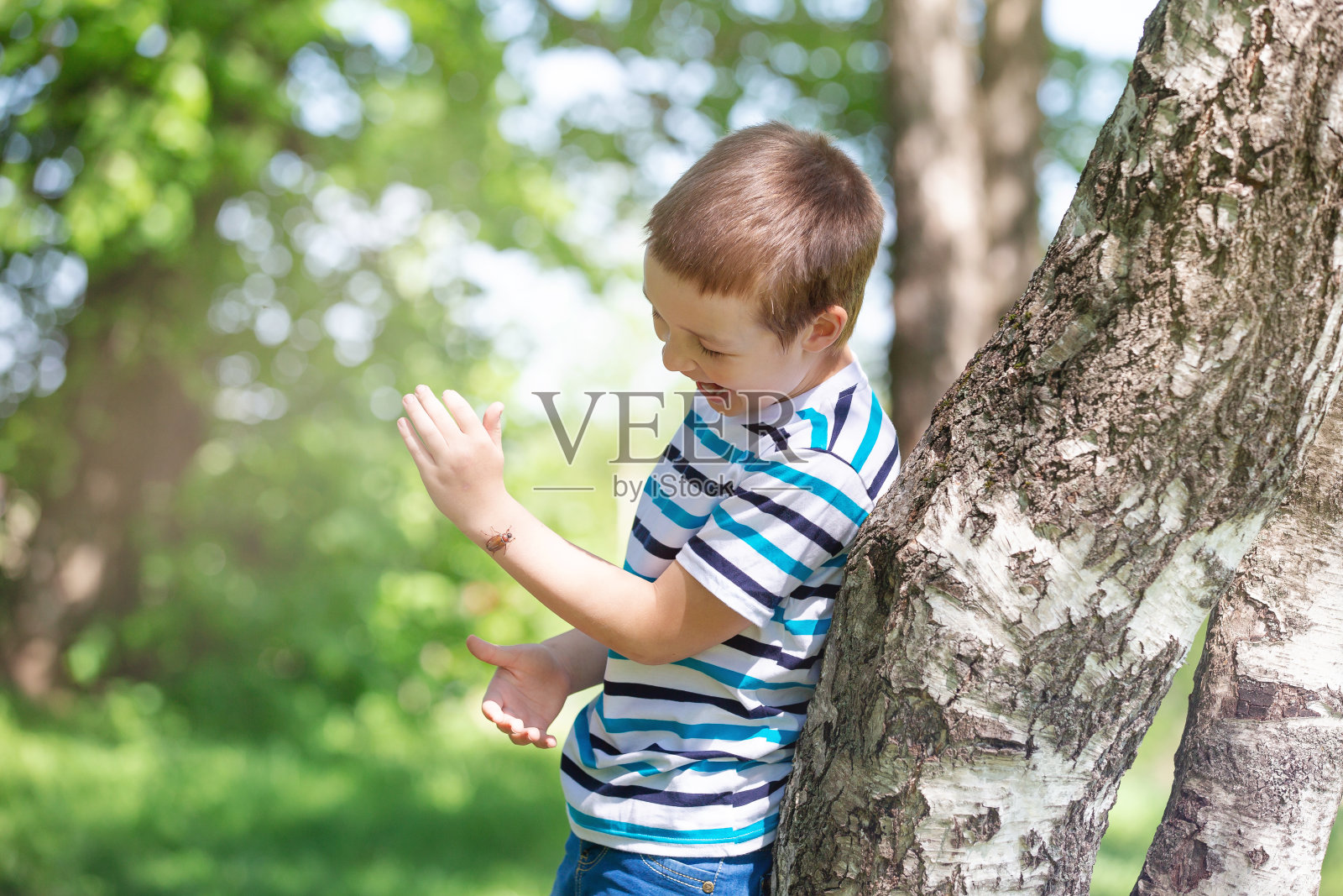 夏天的早晨，孩子们在公园里散步，采集鲜花，探索大自然照片摄影图片