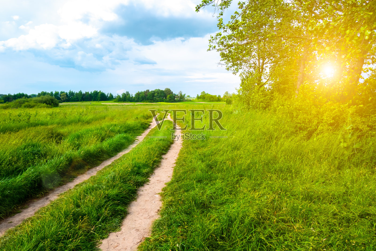 美丽的夏天的风景。田野上的道路，绿色的草地，树木和引人注目的蓝天和蓬松的云。照片摄影图片