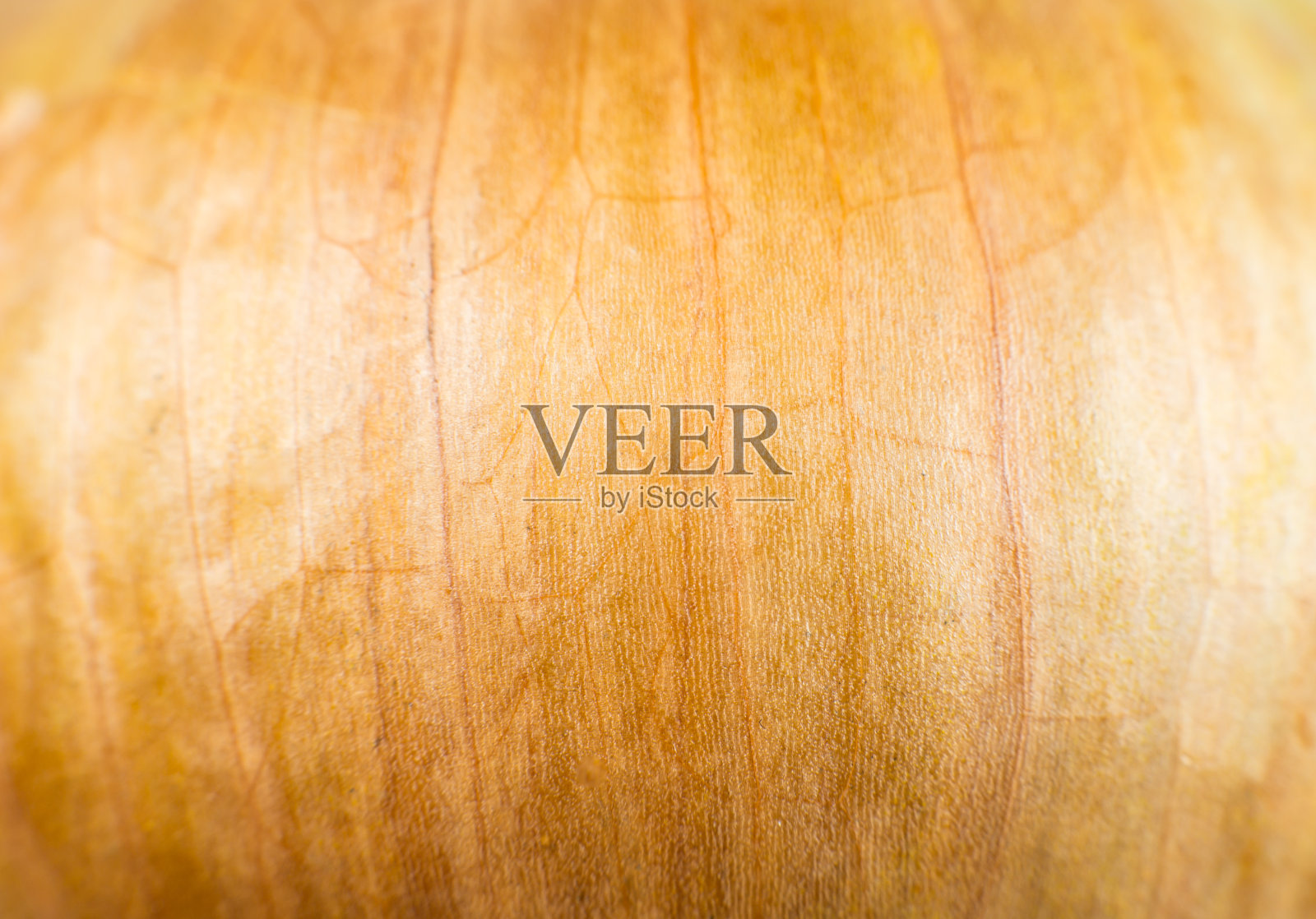 洋葱皮纹理背景。蔬菜特写照片，宏观视角。漂亮的壁纸。照片摄影图片