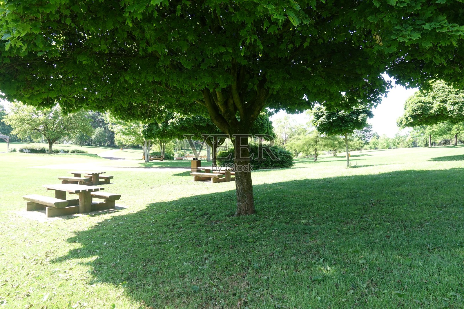 春天的巴黎地区，树木繁茂的公园里的野餐桌和长凳照片摄影图片