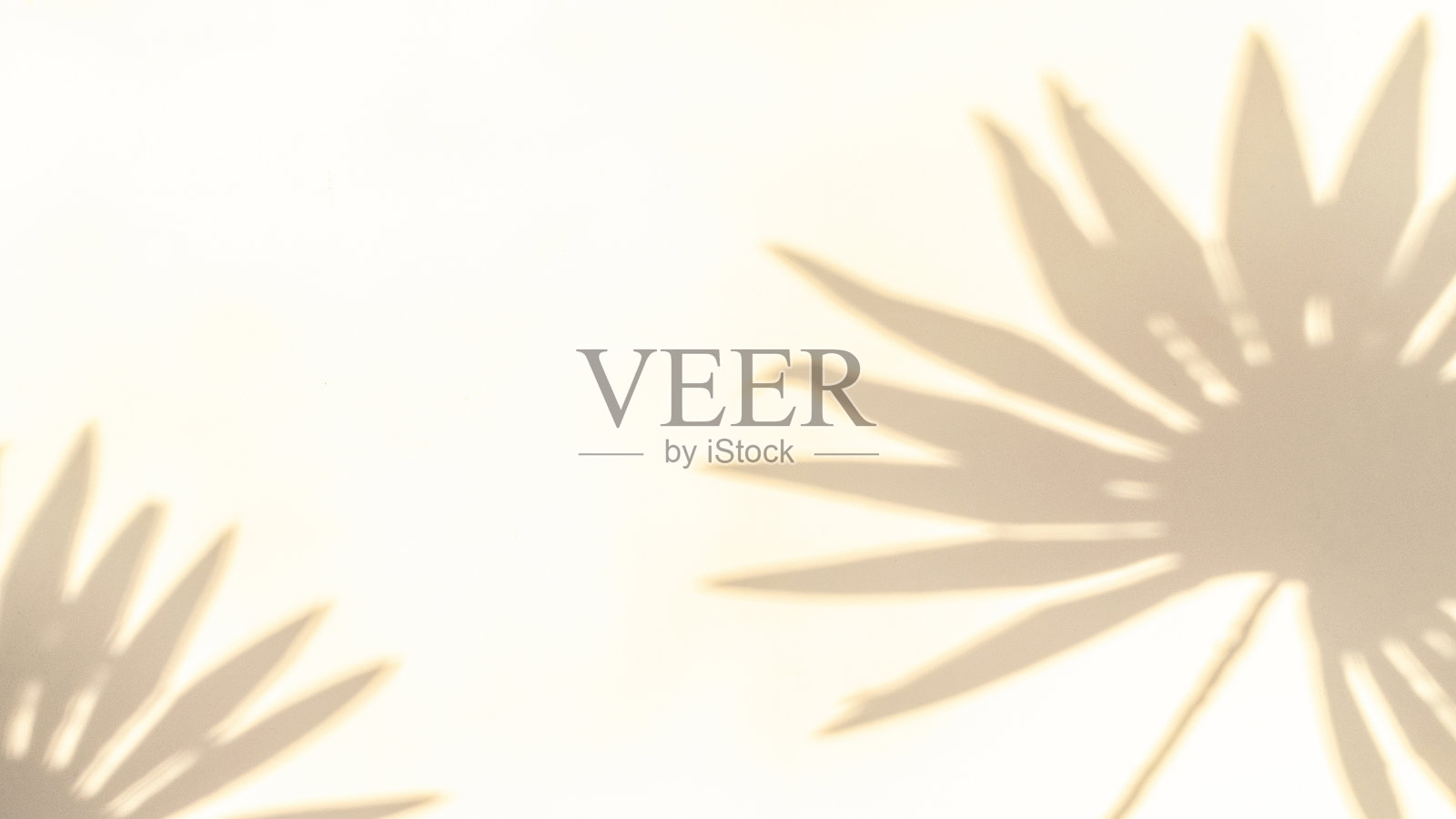 花影夏日背景。在抽象的热带阳光纹理中，白色墙壁上的植物叶影。空棕影黄色纹理图案。照片摄影图片