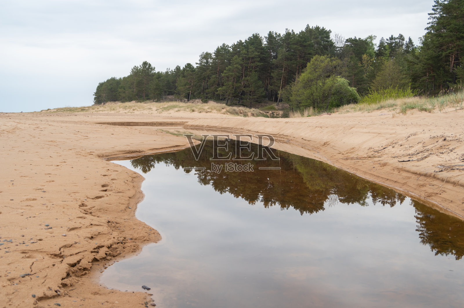 多云而平静的春天早晨，波罗的海的沙滩。照片摄影图片