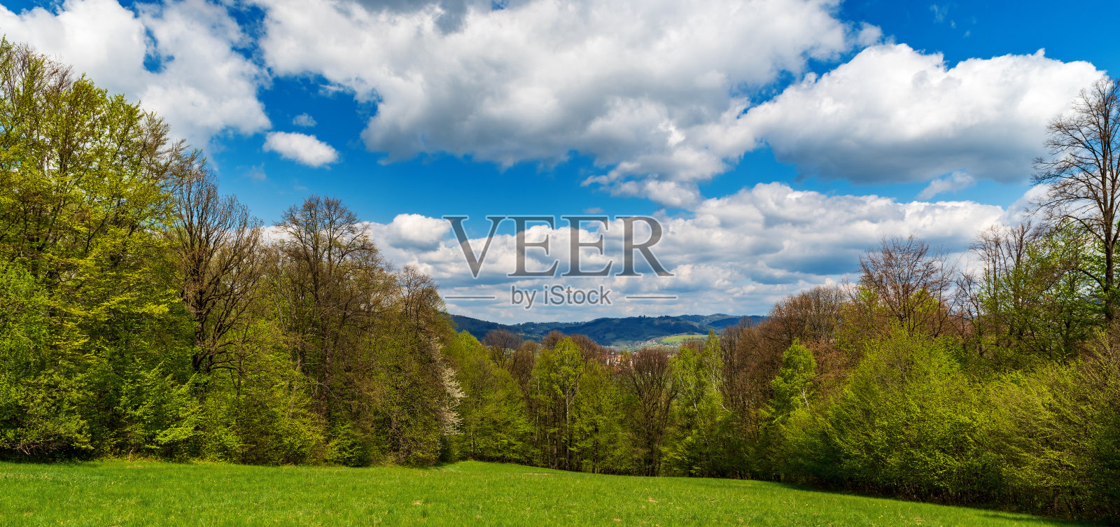 翠绿的草地被森林环绕，群山环绕，蓝天白云缭绕照片摄影图片