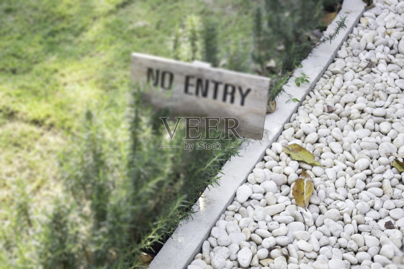 户外花园休闲绿色咖啡厅照片摄影图片