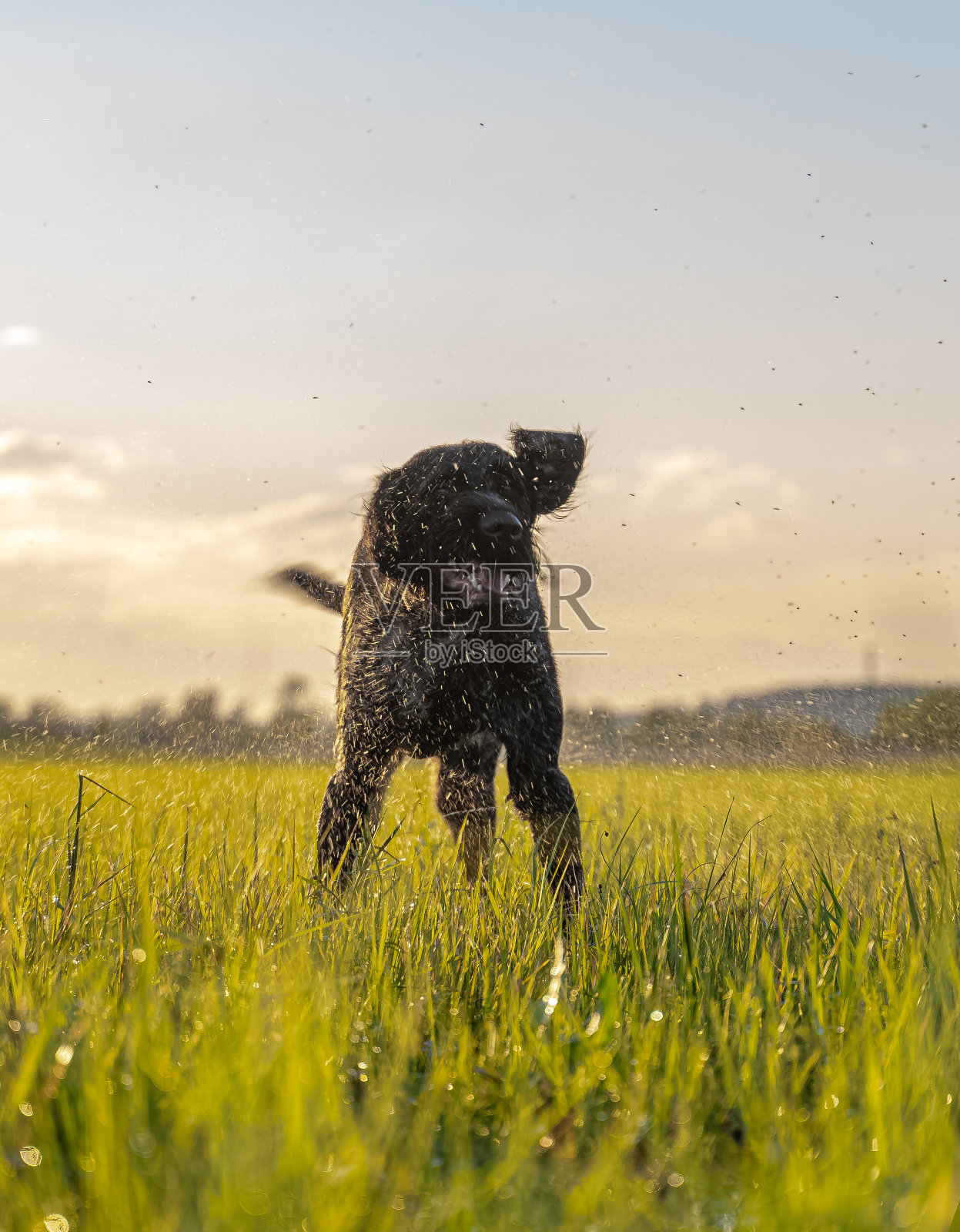 德国德拉塔尔照片摄影图片
