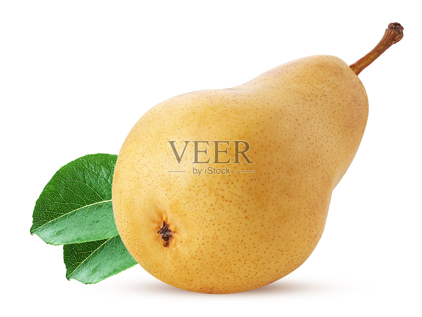 鲜黄梨，绿叶照片摄影图片