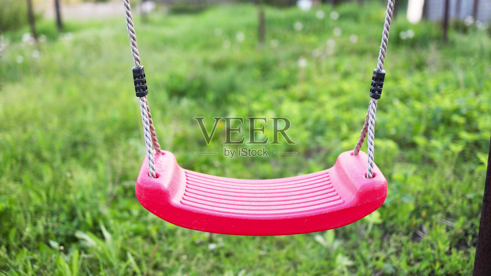 孤独的秋千悬挂在满是青草和树木的春天的花园里照片摄影图片