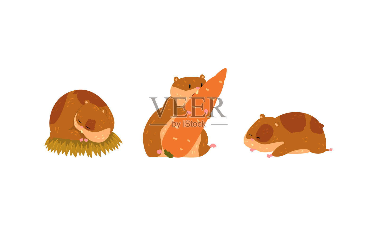 可爱的小宠物仓鼠，有颊囊设计元素图片