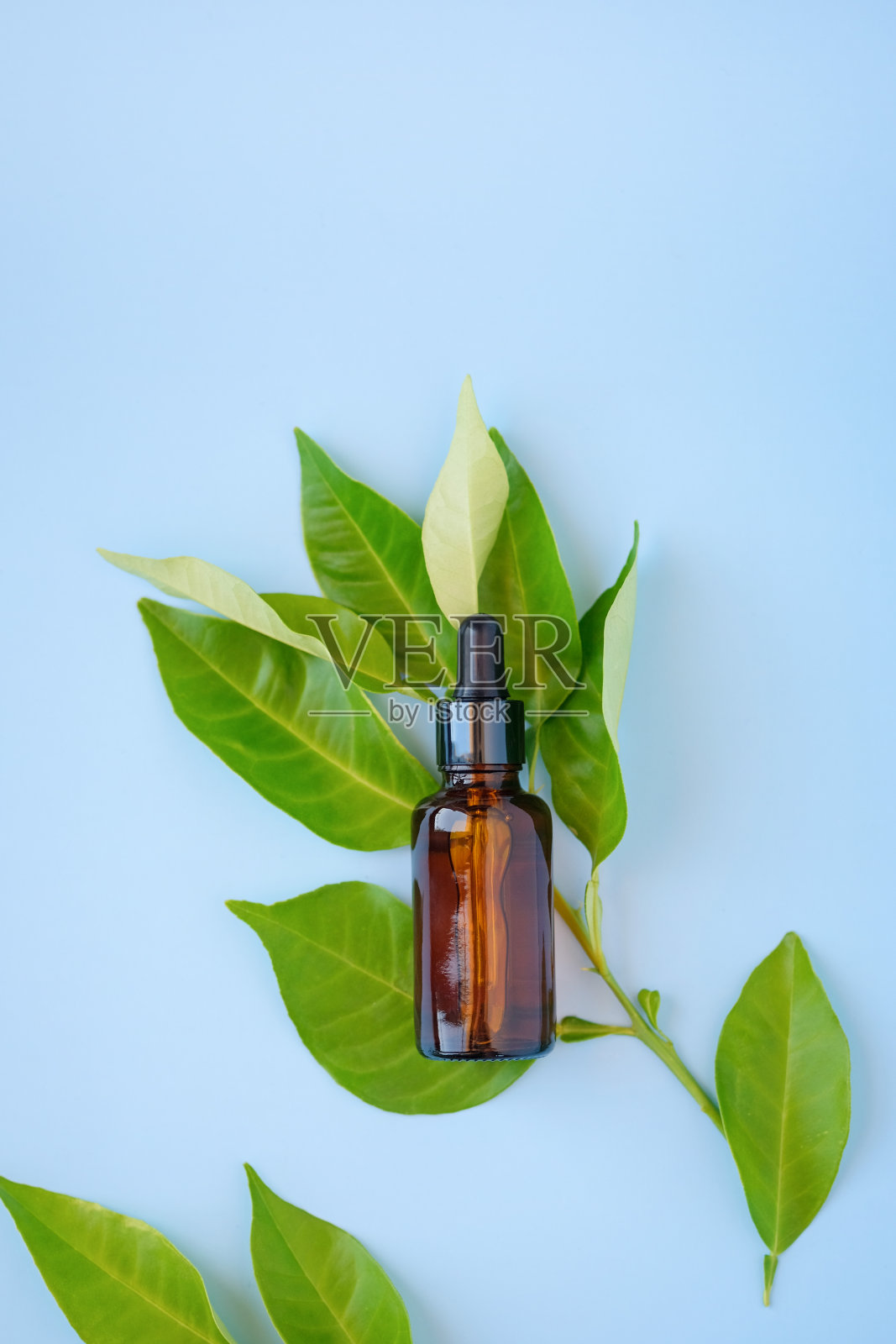 平躺，俯视图柑橘精油或面部血清在琥珀玻璃瓶与水果枝叶在蓝色的背景。照片摄影图片