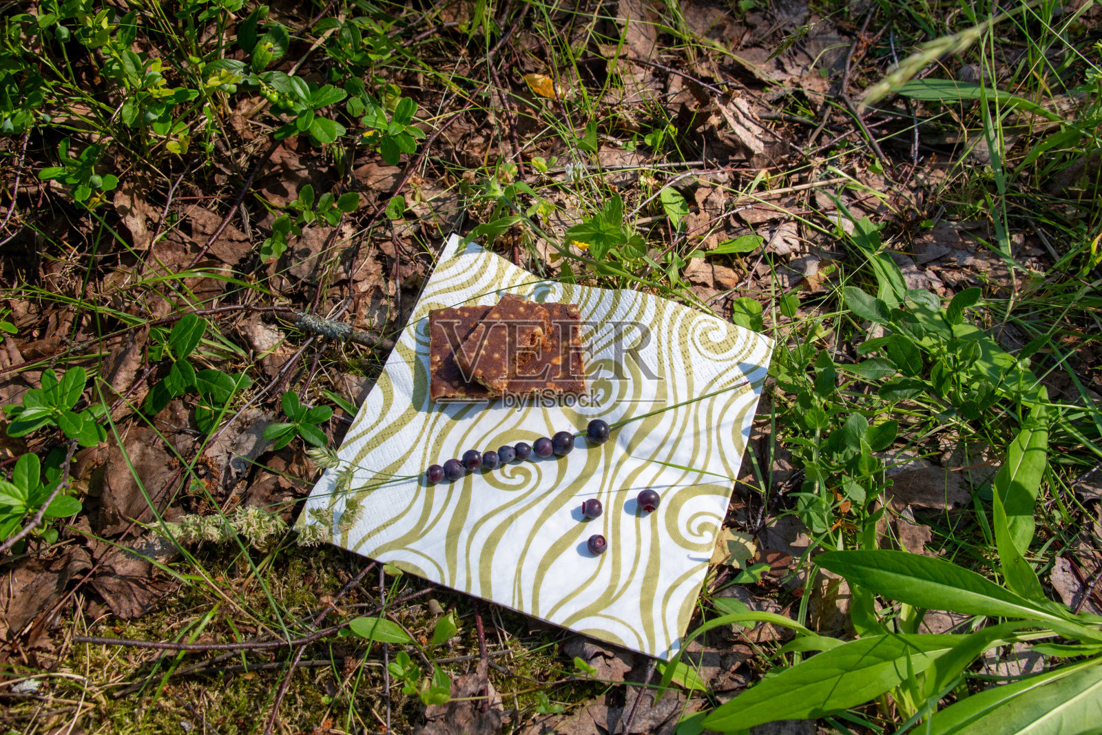 在阳光明媚的夏日里，搭配谷物能量棒、新鲜黑莓、金属杯凉茶的森林小吃照片摄影图片