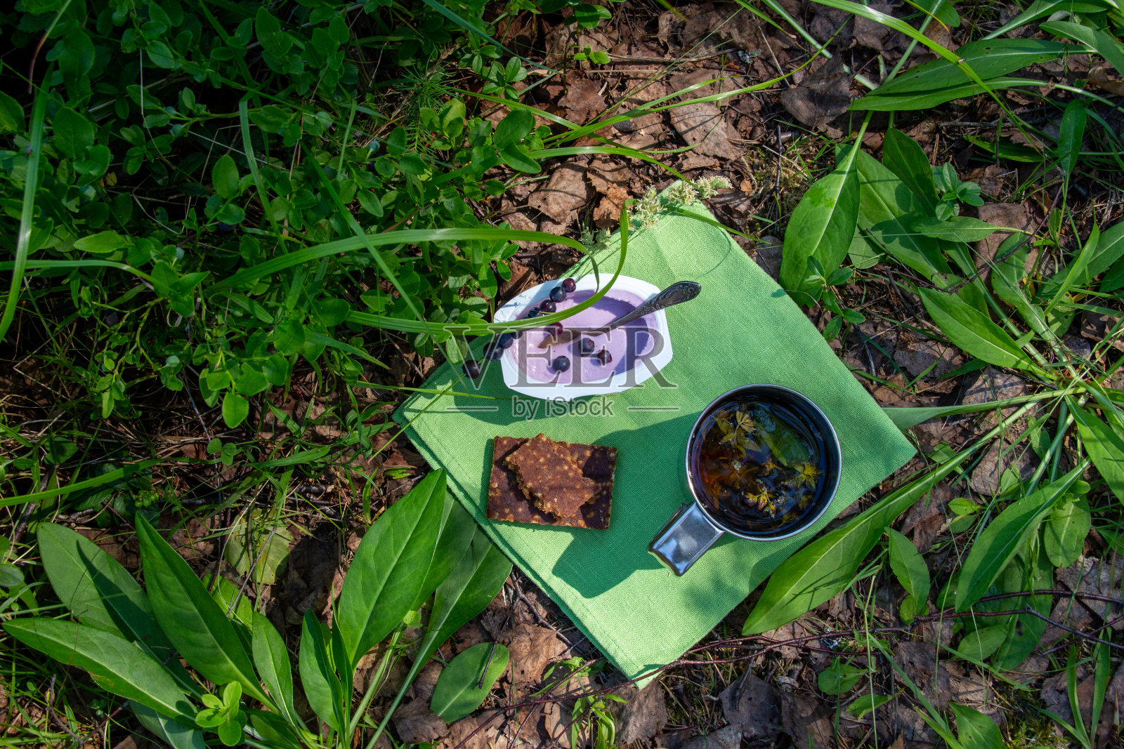 野餐能量谷物棒，酸奶，蓝莓，草本茶在绿色的森林草在阳光明媚的夏日照片摄影图片