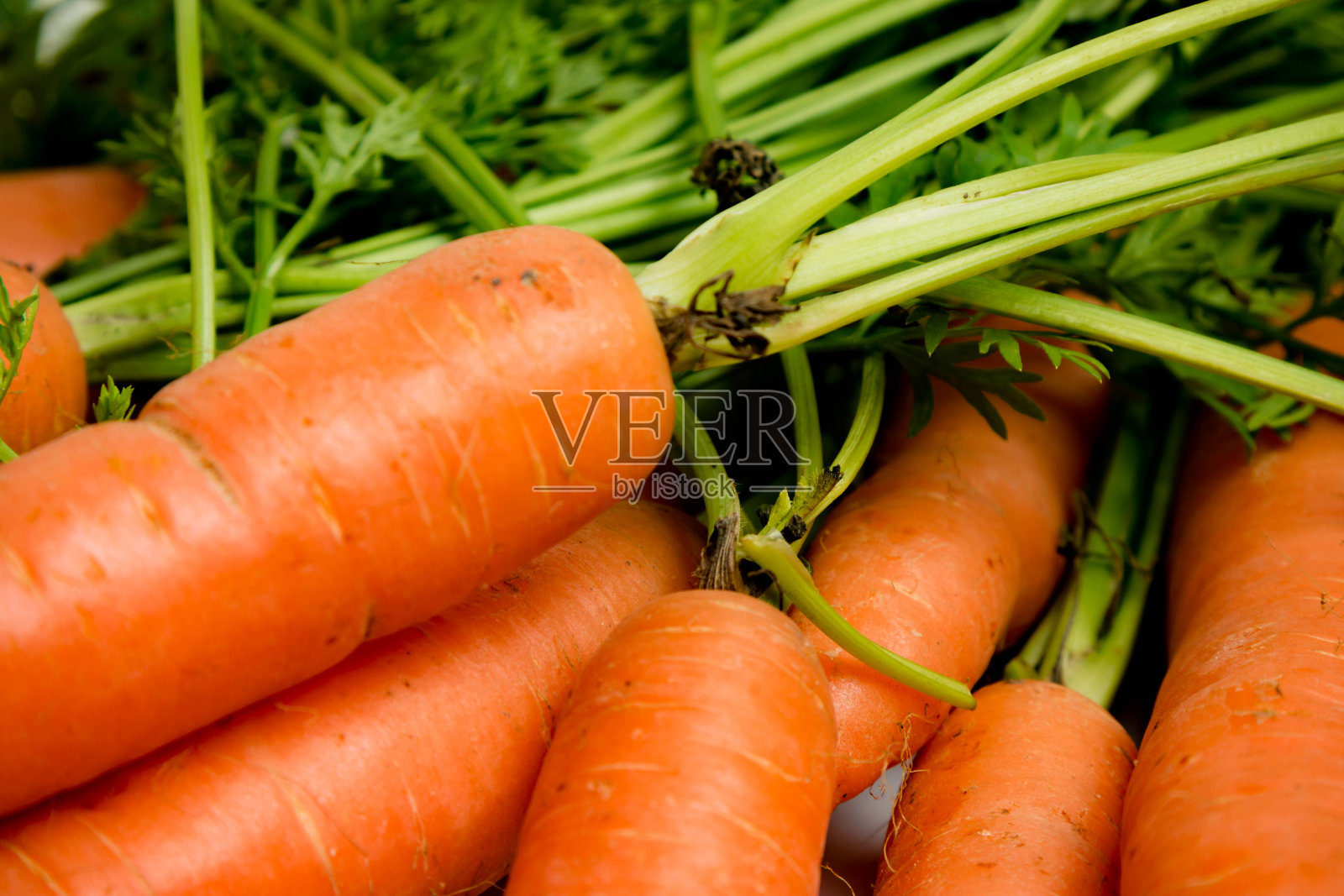 胡萝卜照片摄影图片