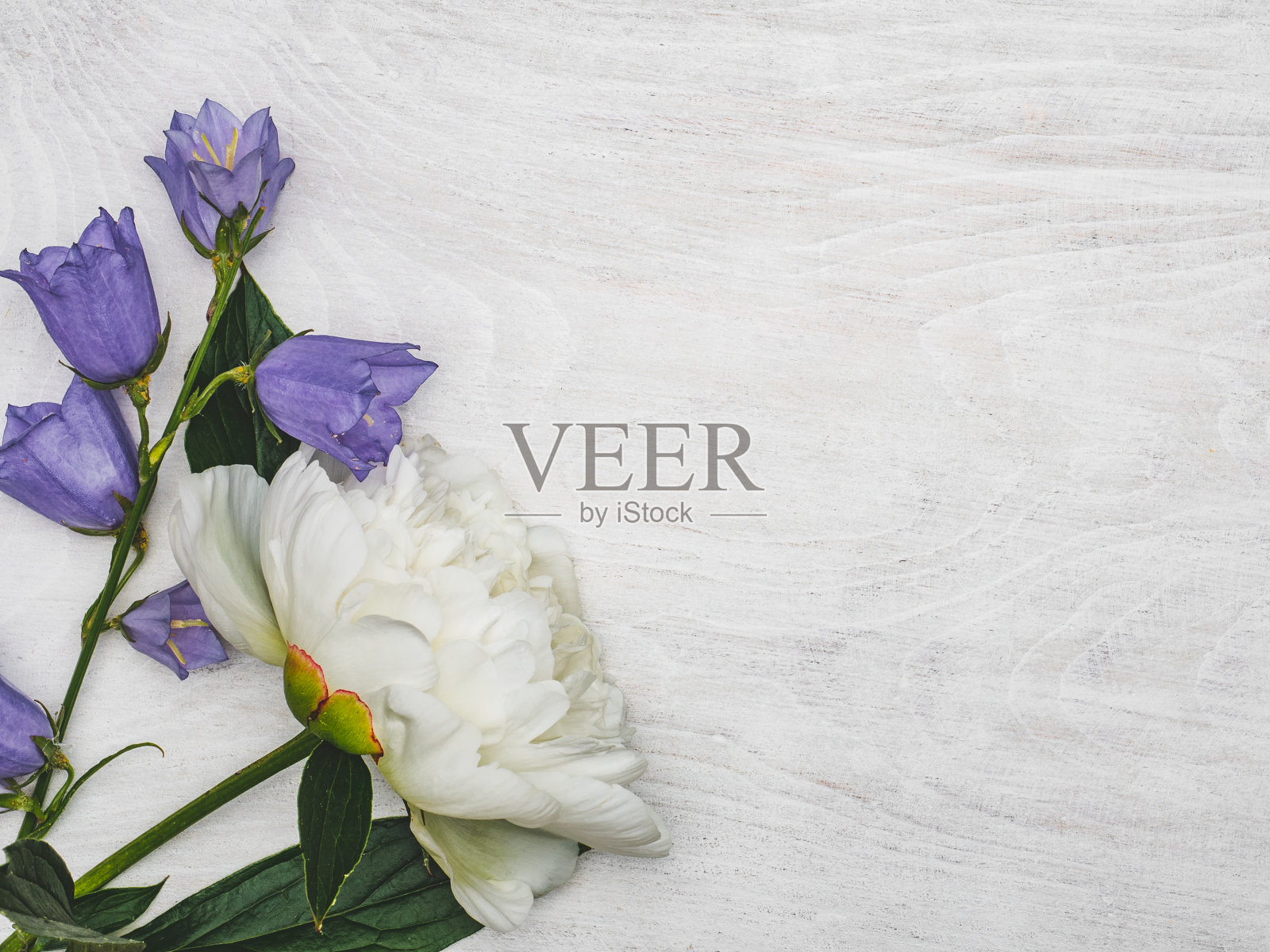 鲜艳的鲜花和放置祝贺信息的地方照片摄影图片