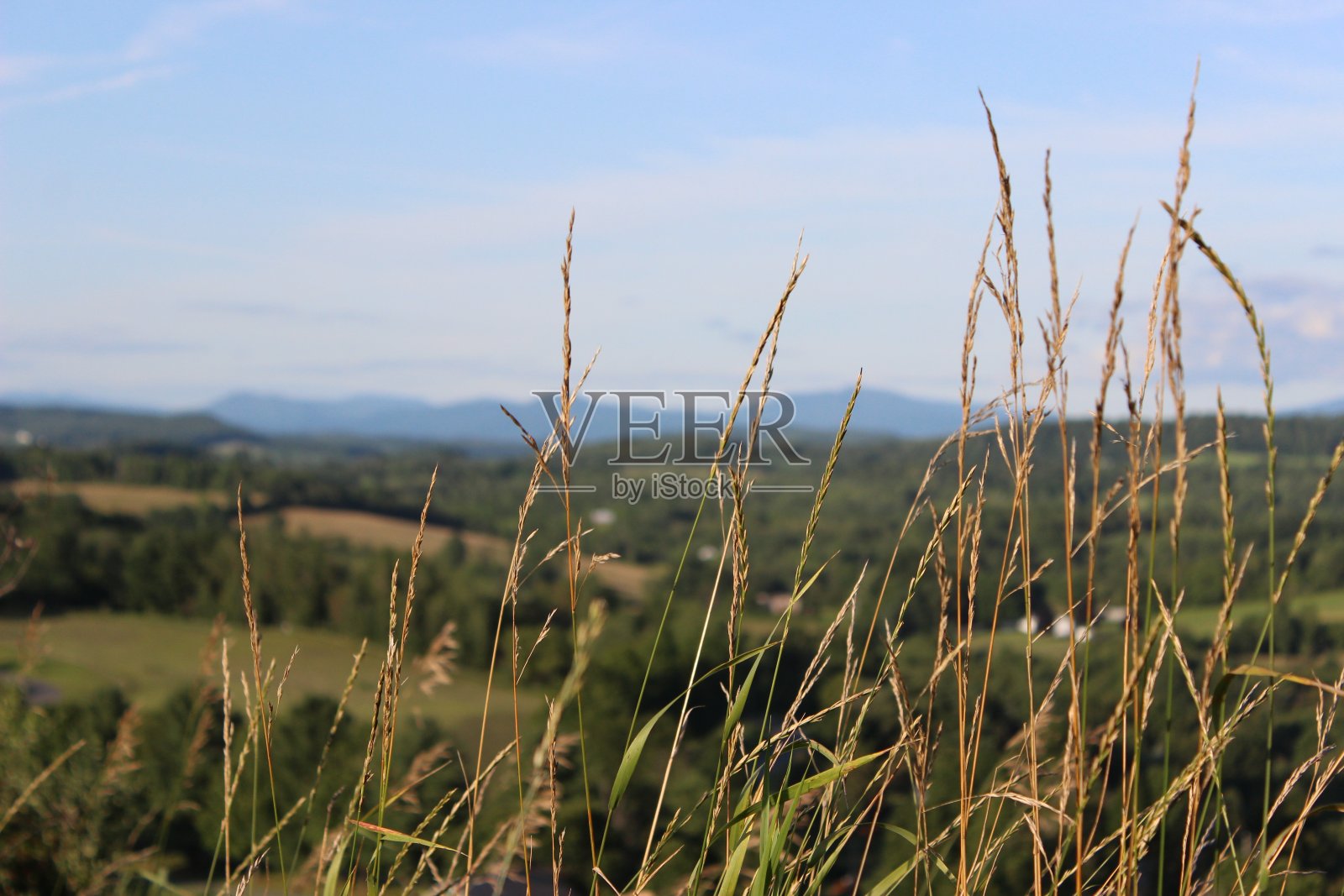 纽约格林威治照片摄影图片