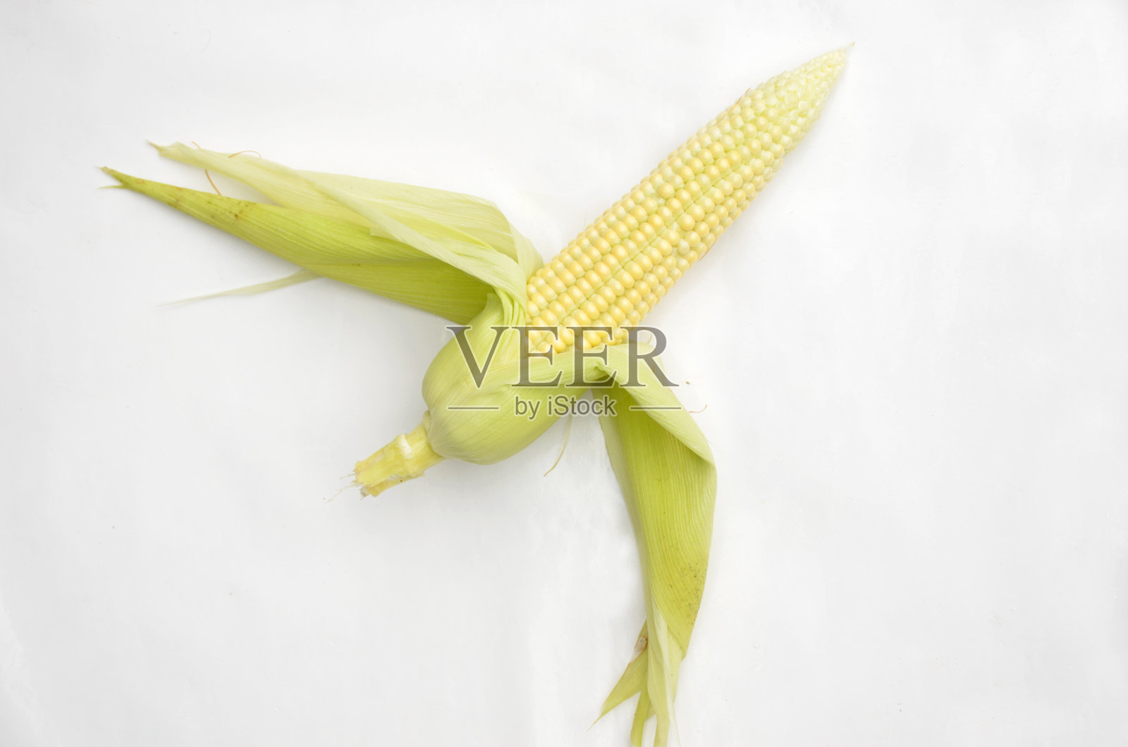白色背景下带绿叶的成熟玉米棒照片摄影图片