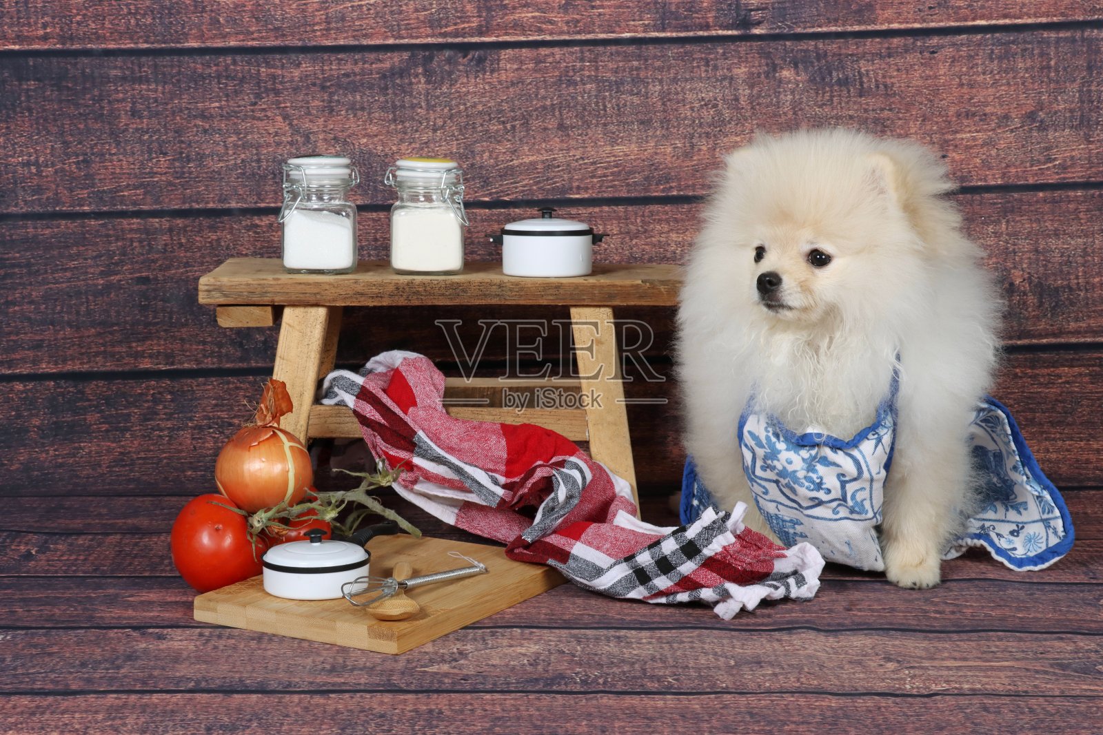 厨师烹饪的狗照片摄影图片