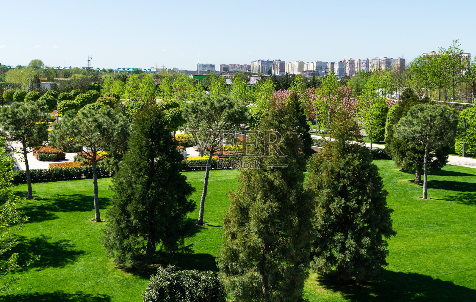 克拉斯诺达尔的加利茨基公园照片摄影图片