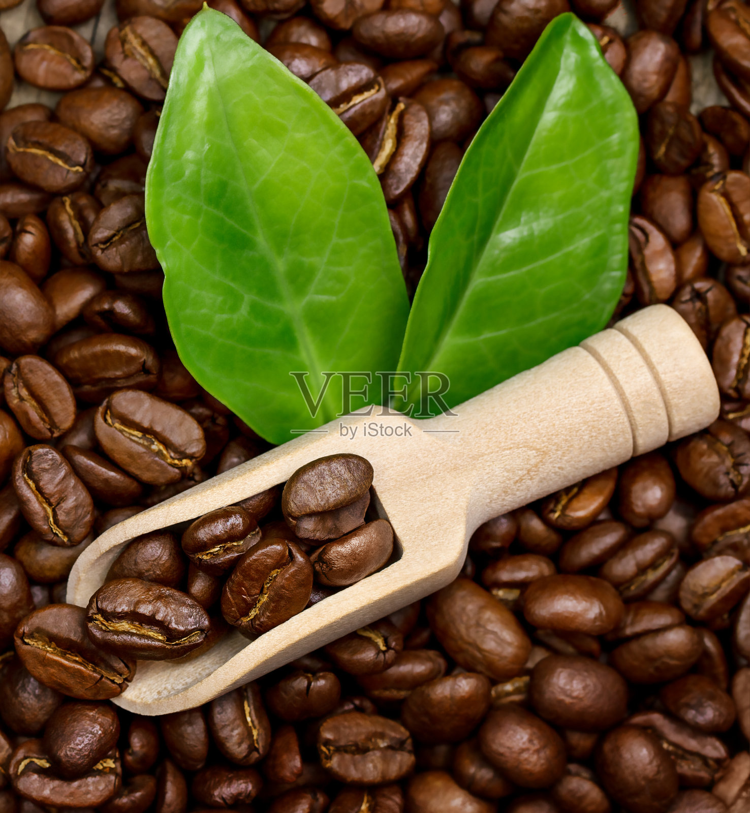 咖啡豆照片摄影图片