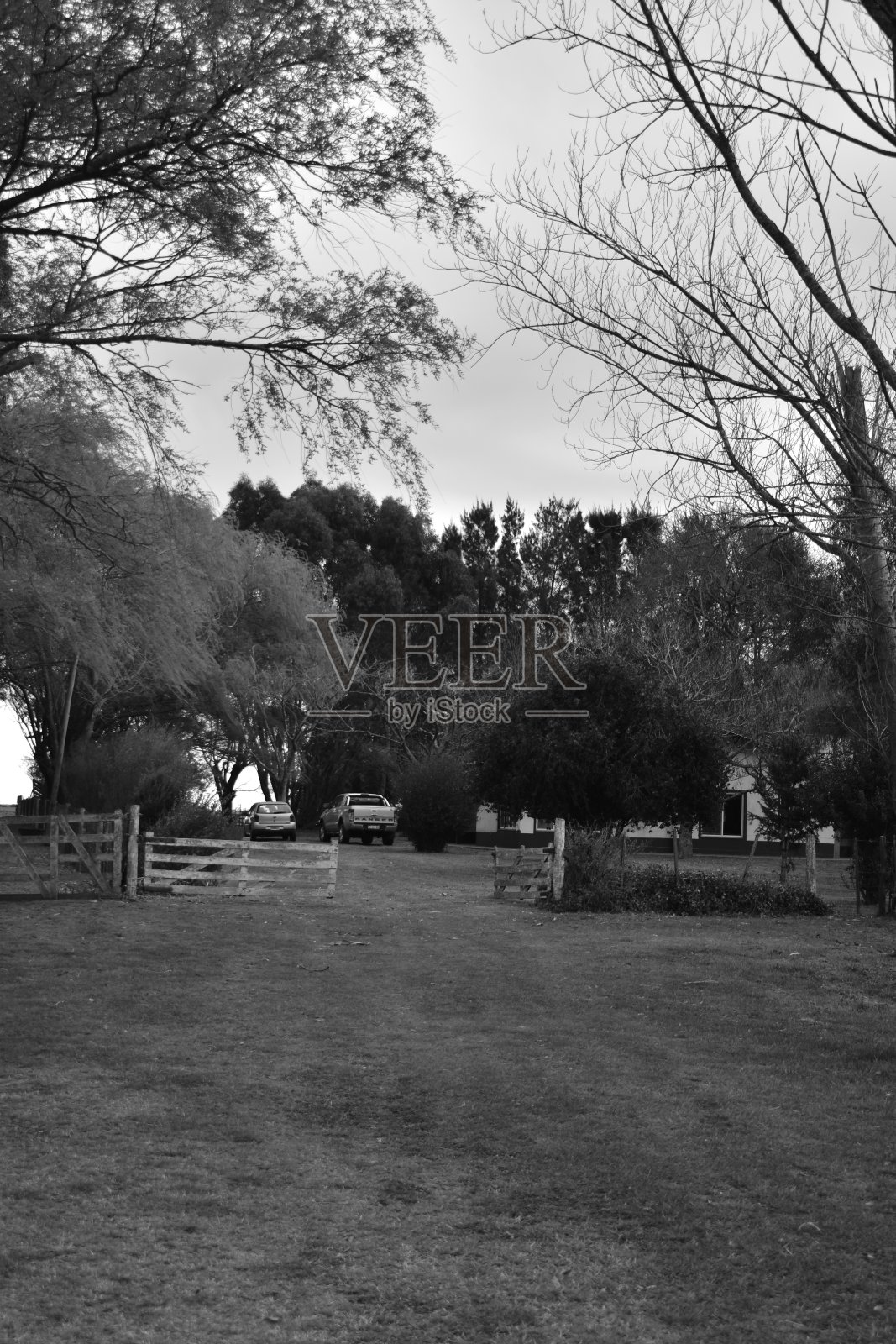 乡村-黑人和白人农场照片摄影图片