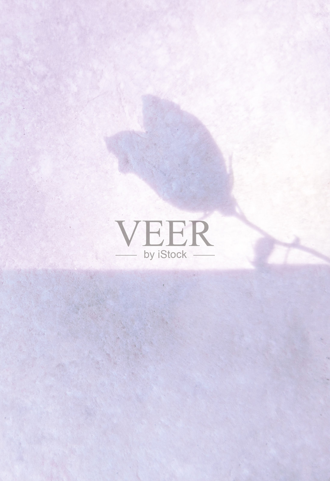 时尚简约的自然壁纸。花钟的阴影照片摄影图片