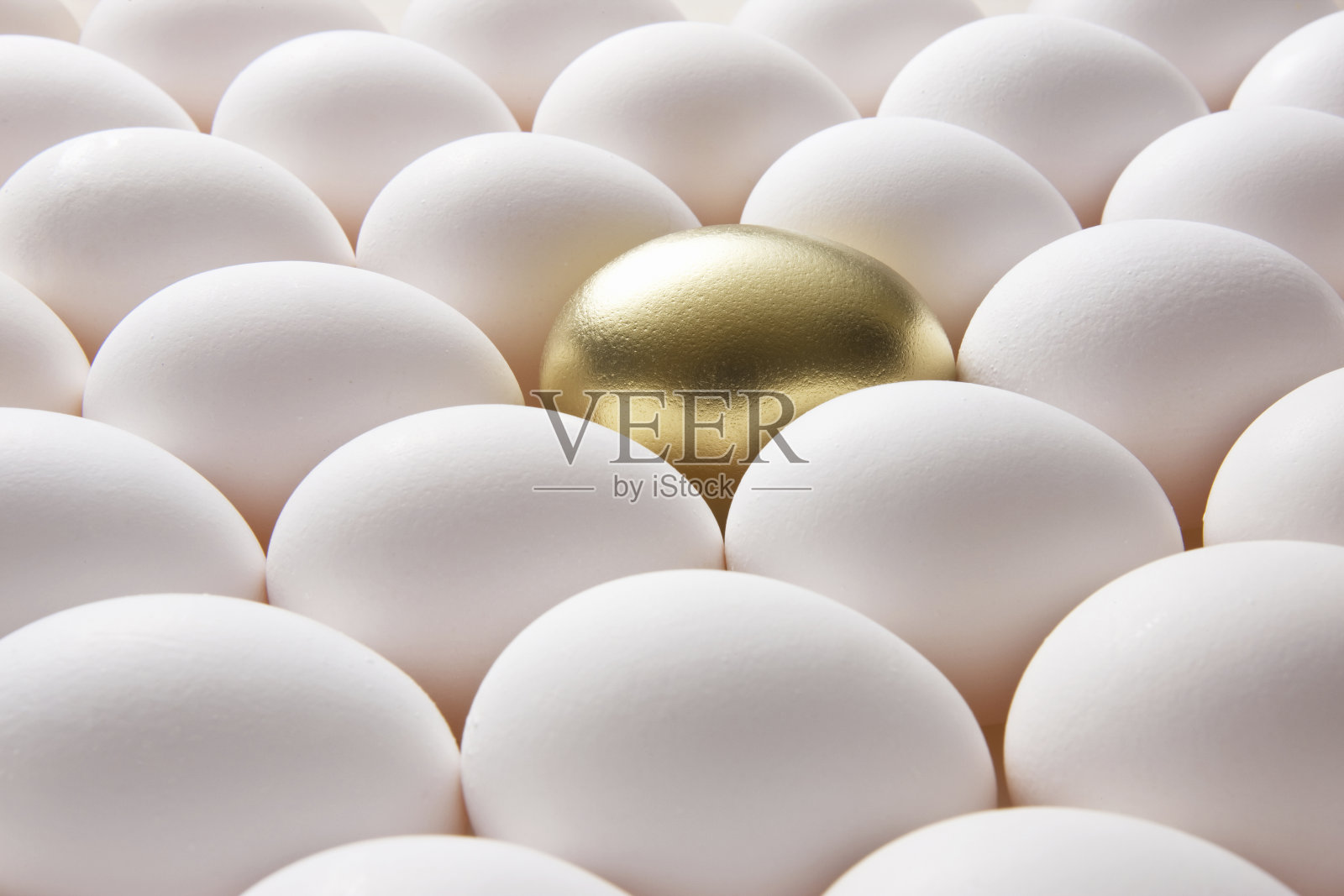 金蛋照片摄影图片