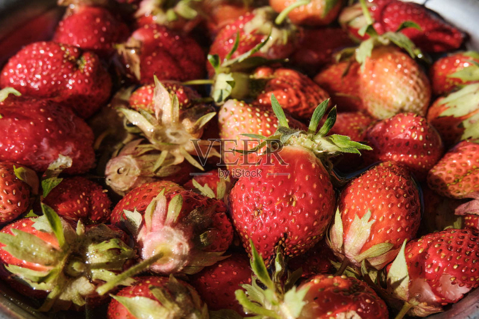 小草莓放在金属碗里。农田里种植的草莓照片摄影图片