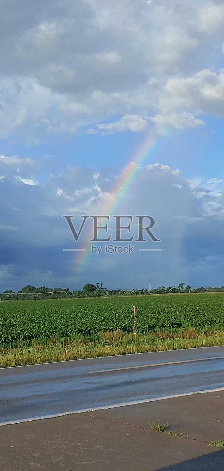 暴风雨后的承诺照片摄影图片