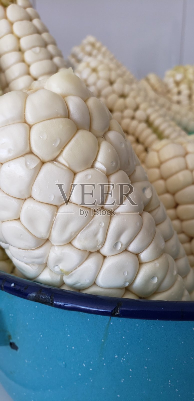 玉米照片摄影图片