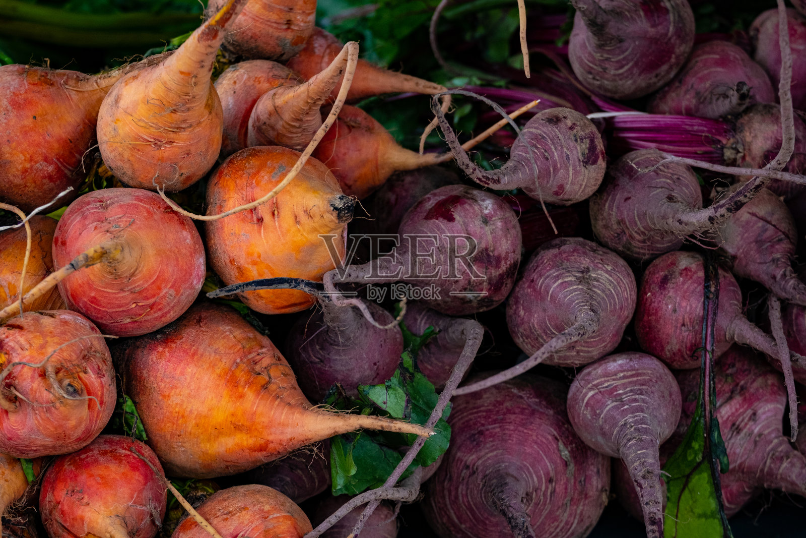 新鲜甜菜-金色和紫色照片摄影图片