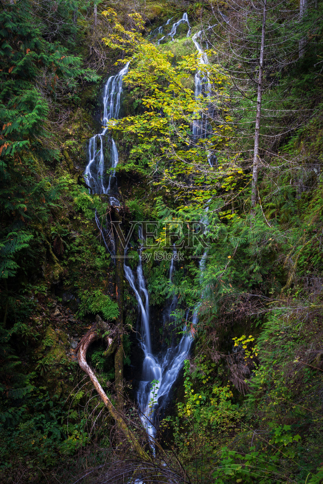 维多利亚市瀑布照片摄影图片