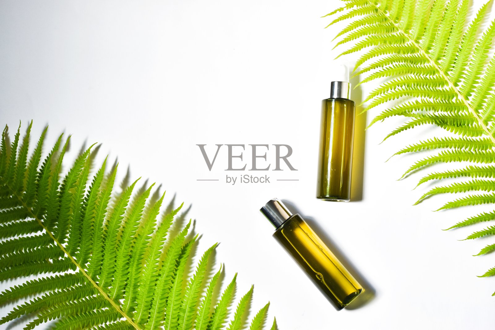 化妆品品牌模型。绿色的化妆品瓶与蕨叶在白色的背景。天然草本美容产品设计。平铺，拷贝空间。照片摄影图片