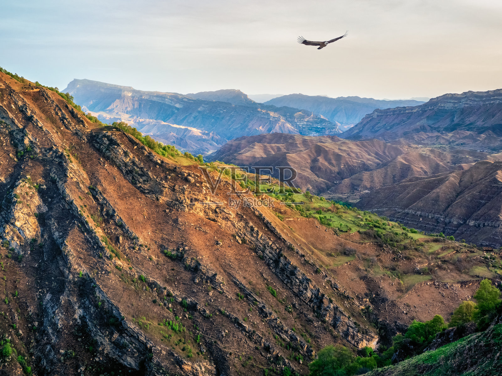 大气景观与轮廓纹理山脉的背景日落天空。一只鹰飞过一个峡谷。夕阳褪色了。照片摄影图片