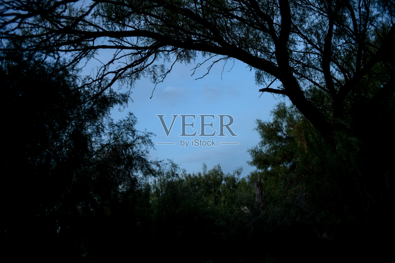 佩吉峡谷从墨西哥奇瓦瓦沙漠，2小时车程的城市照片摄影图片