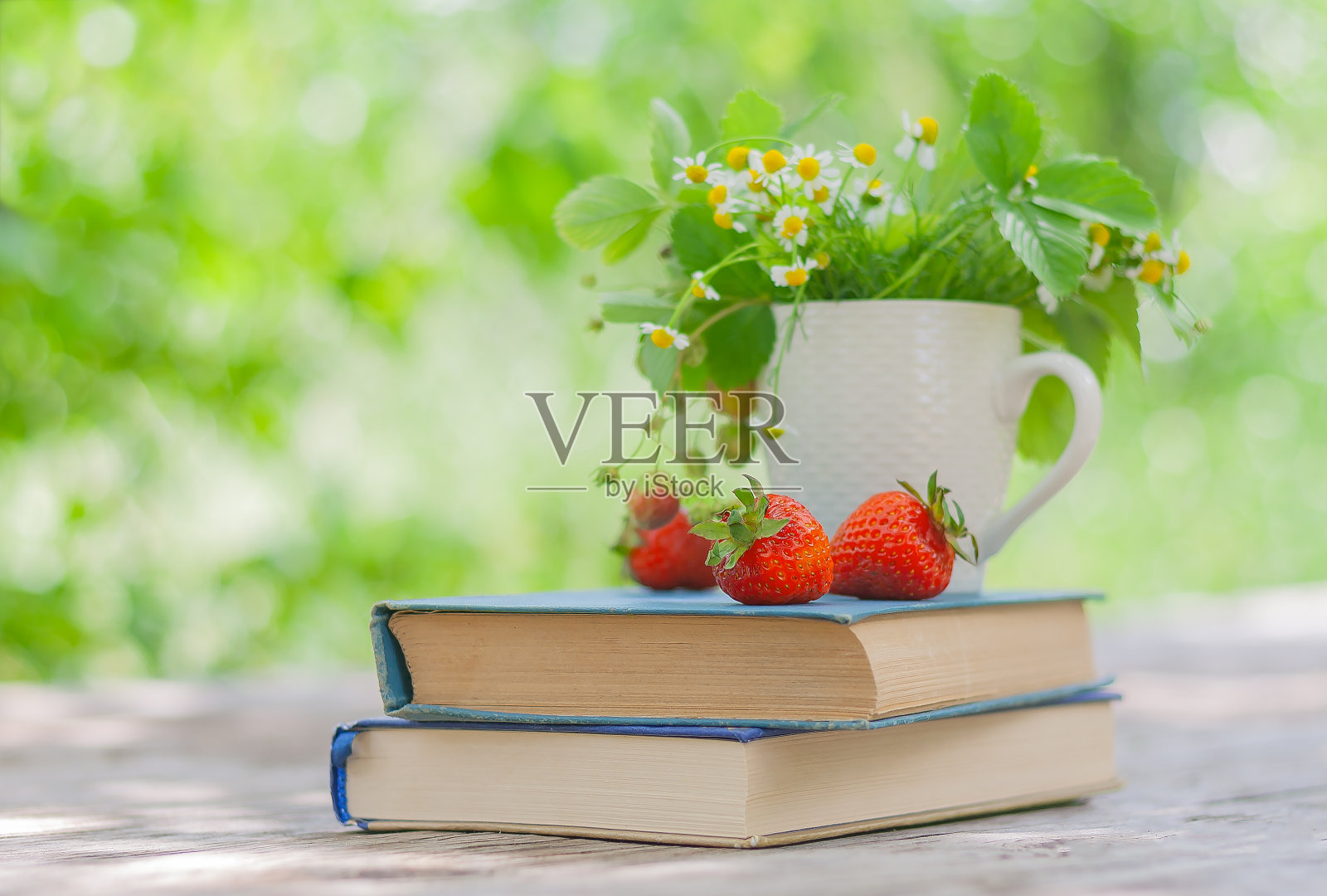 花园里的一堆书上放着草莓和一个插着花的杯子照片摄影图片