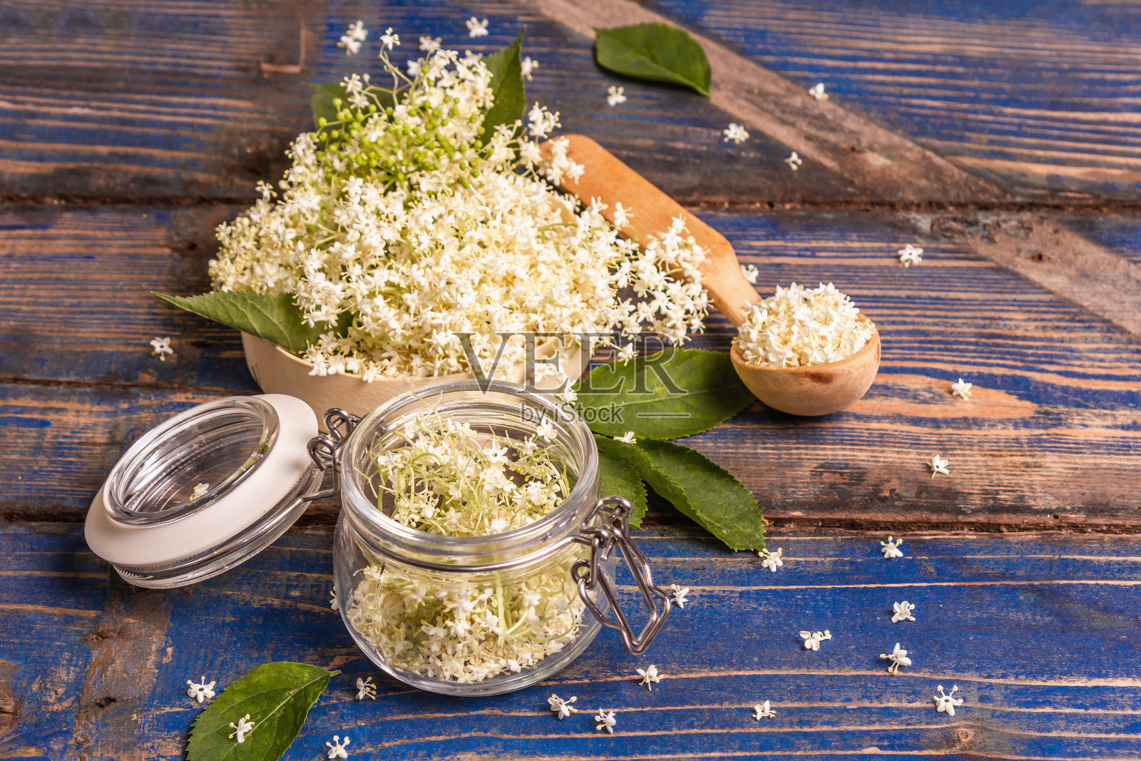 接骨木花茶照片摄影图片
